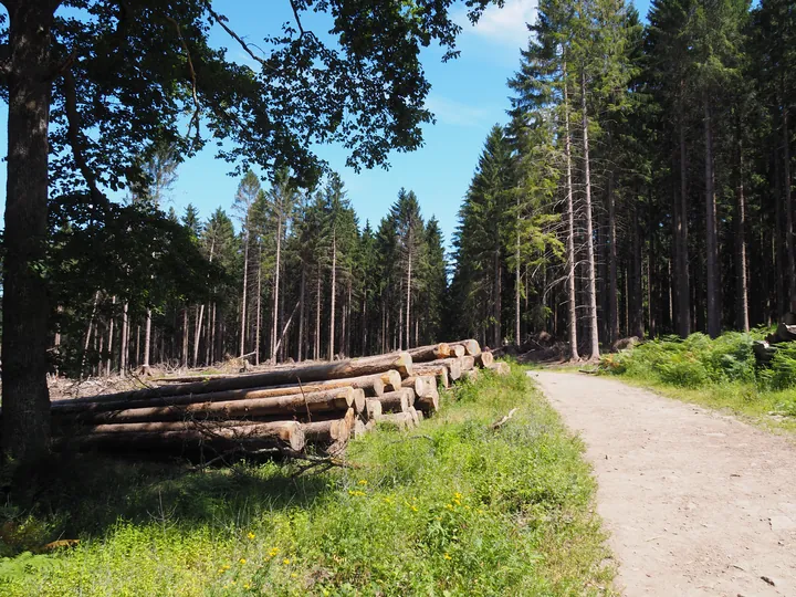 Ninglinspo (België)